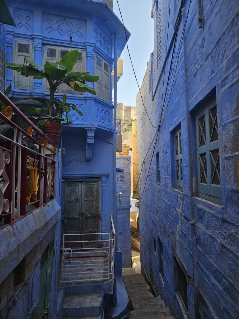 Smalle steeg in Jodhpur met felblauwe huizen en traditionele houten deuren en ramen.