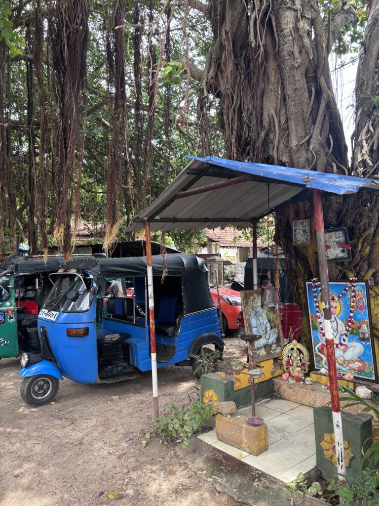 Blauwe tuktuk geparkeerd naast een klein kleurrijk hindoeïstisch altaar onder een grote boom.