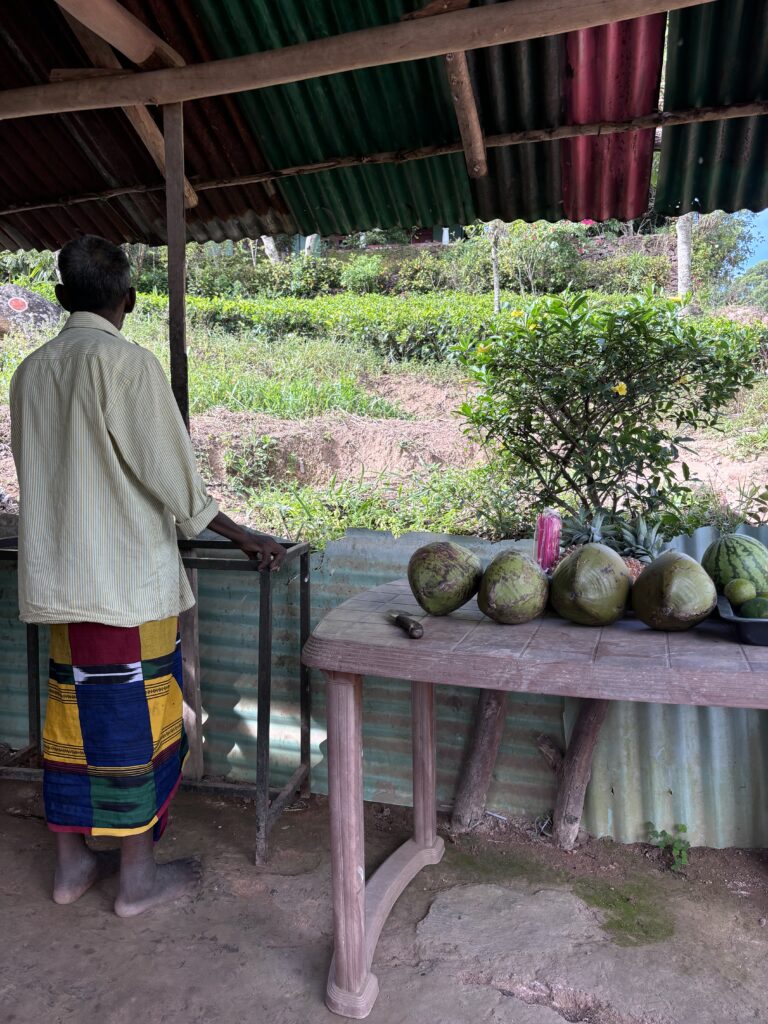 Man in kleurrijke sarong staat onder afdak naast tafel met kokosnoten en fruit, uitkijkend over groene heuvels.