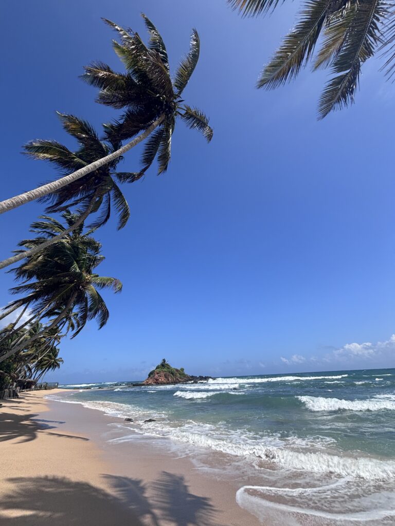 Tropisch strand met hoge palmbomen en uitzicht op klein eilandje in de zee onder een strakblauwe lucht.